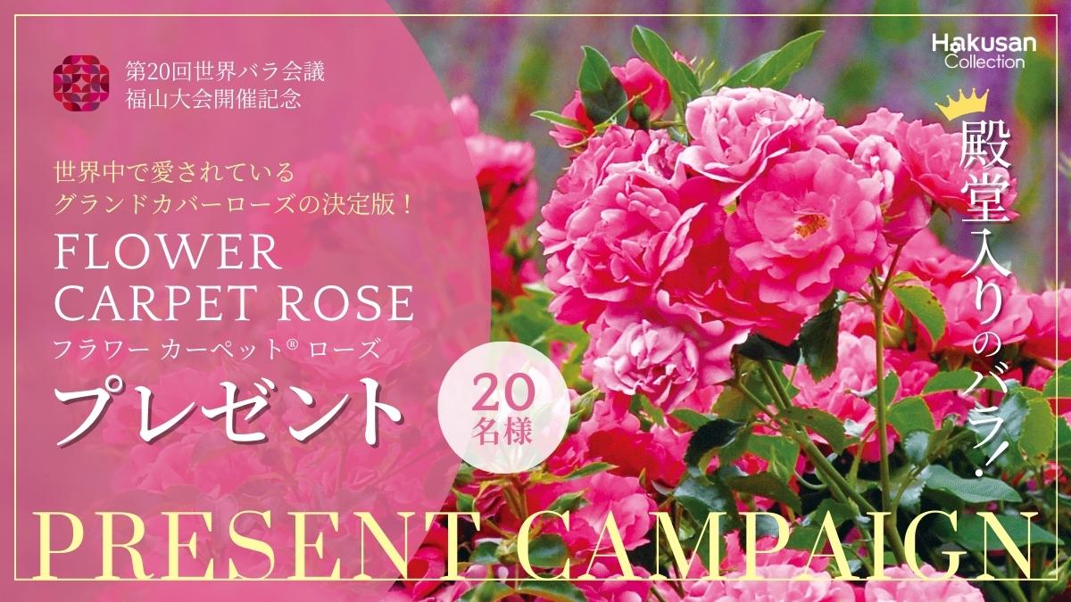 第20回世界バラ会議福山大会開催記念！キャンペーン | 株式会社