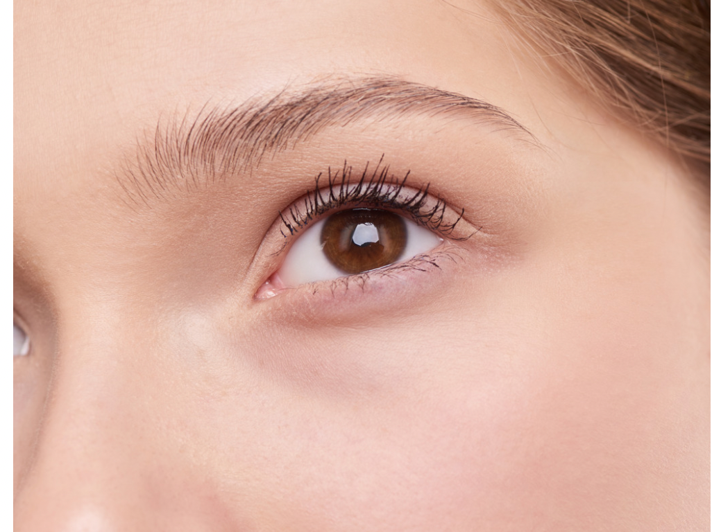 最新！次世代アイブロウ（眉毛）≪HOLLYWOOD BLOW LIFT/ハリウッド