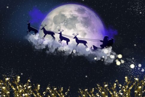 クリスマスの豆知識！サンタのソリを引く名脇役、トナカイについて