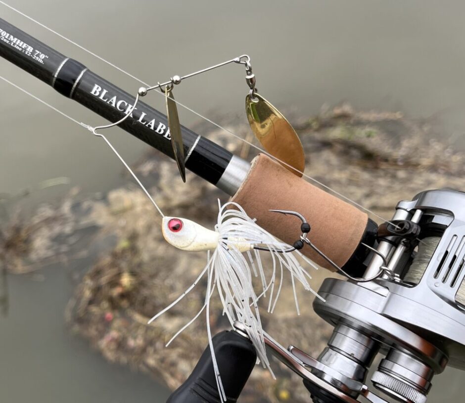 レベルスピン インプレ】Dゾーンより強度が高く、濁りが少なくても