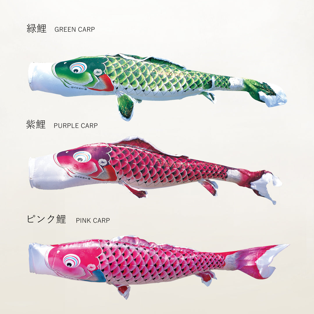 赤鯉 慶祝の鯉【吉兆】単品鯉のぼり – 晴れと暮らす