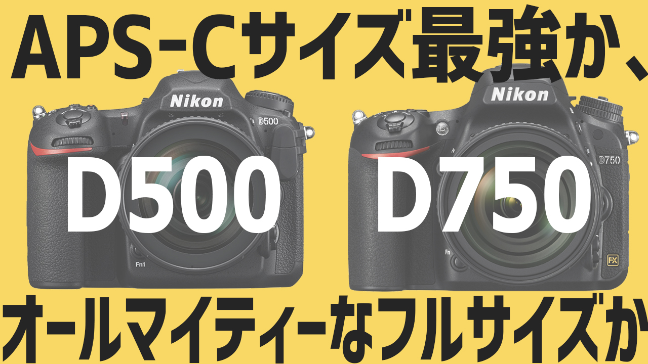 ニコンD500とD750で悩むなんておかしい！性格が異なる2つのカメラを