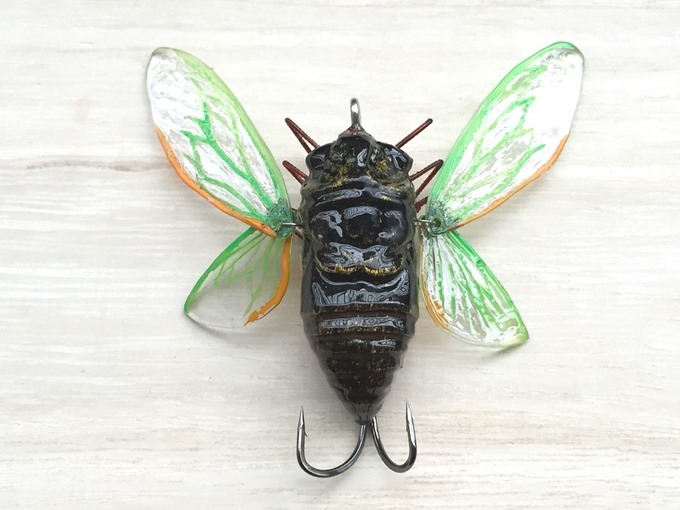 ☆新品未使用品‼️オータニ昆虫館SEMI ・セミ☆入手難※希少 新品未使用