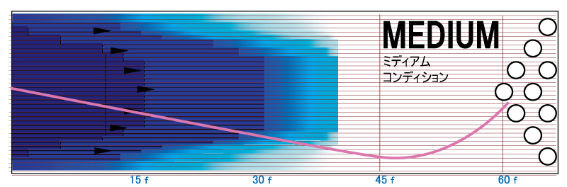 ASTRO PHYSIX - ハイスポーツ社 ：信頼のボウリング用品販売