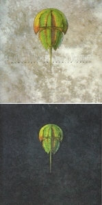 太陽の序曲 Z.O.A. zoa ゾア 森川誠一郎 吉田達也 Z・O・A 太陽の序曲