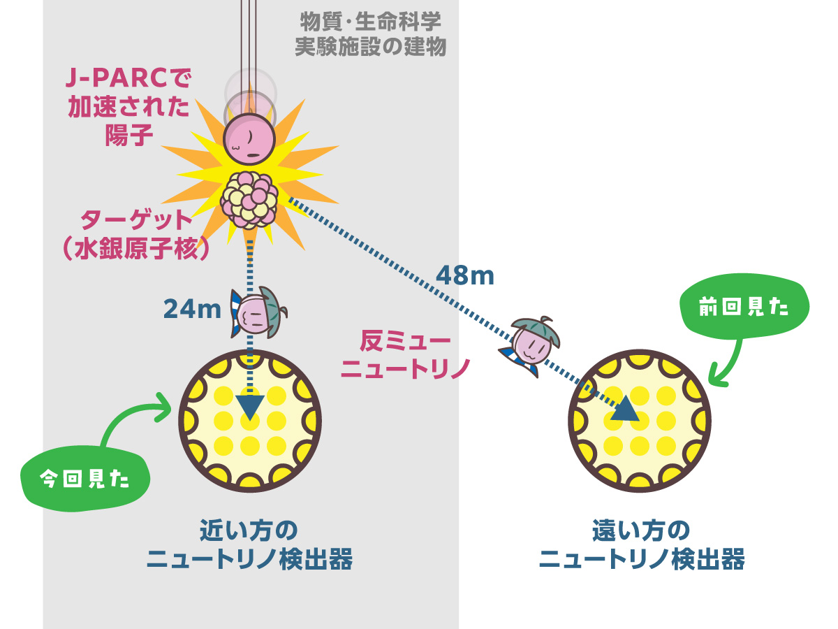 たんけんJ-PARC！】近くと遠くで探すステライルニュートリノ、JSNS²
