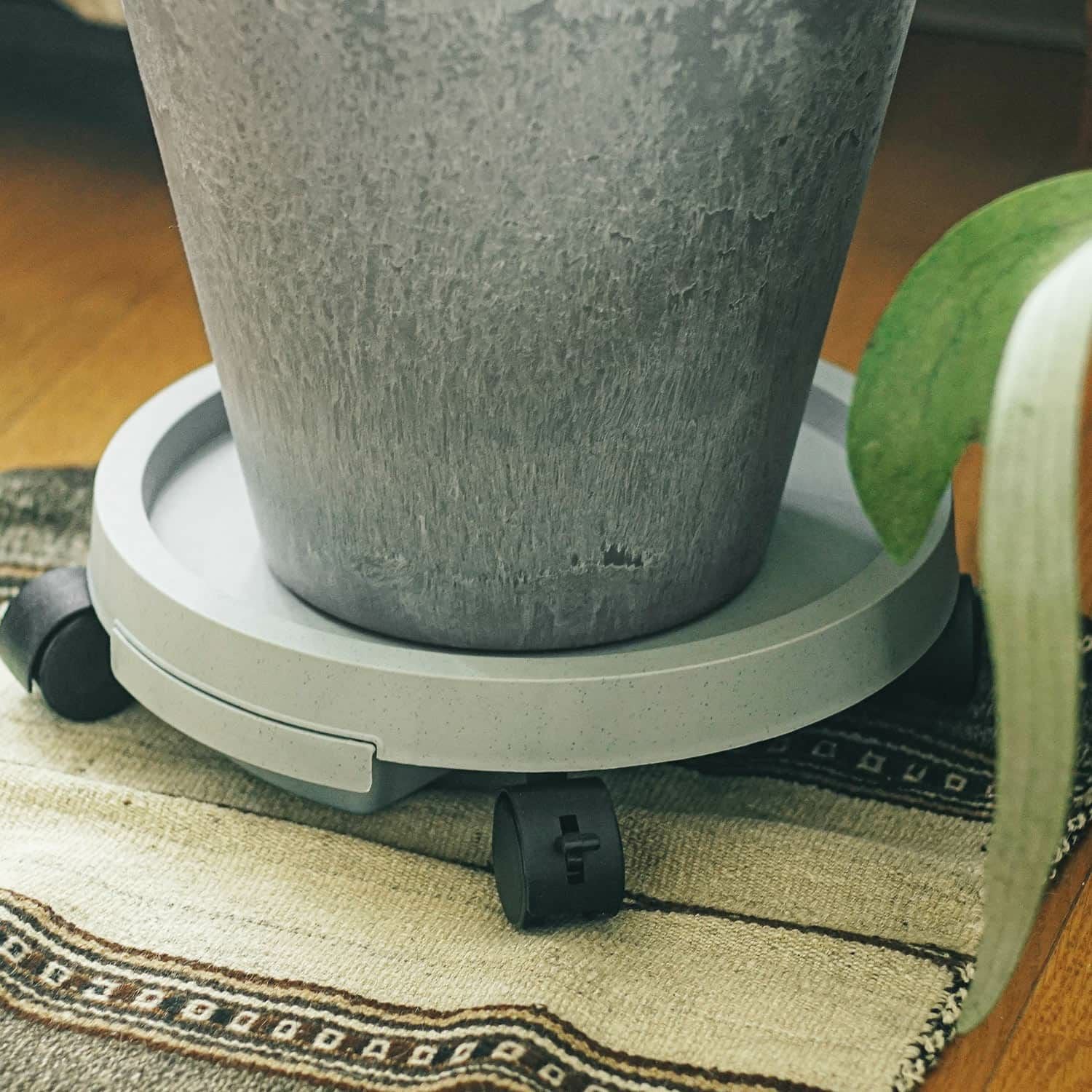 amabro アマブロ | PLANTS TRAY プランツトレイ | HIGHTIDE