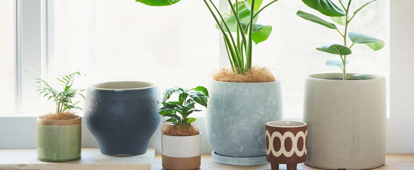 鉢カバー・植木鉢 | おしゃれな鉢のHitoHana(ひとはな)