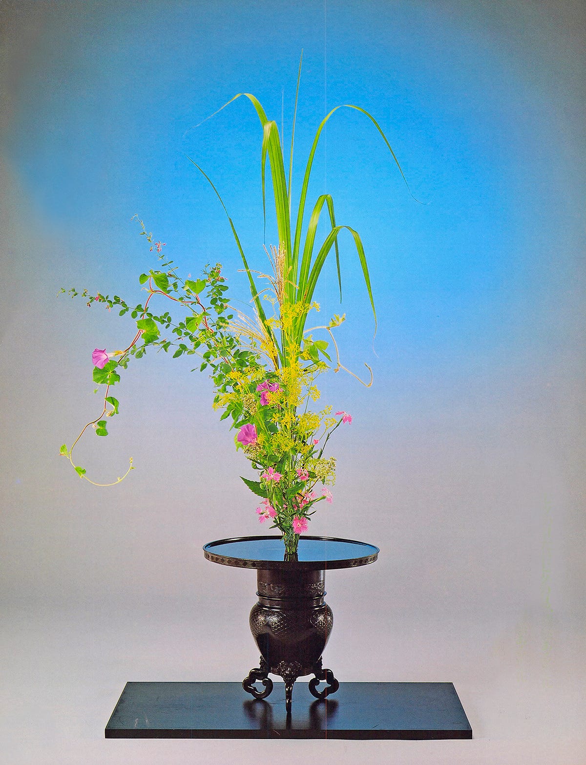 7月 家元のいけばな 七夕の花「竹と七草」