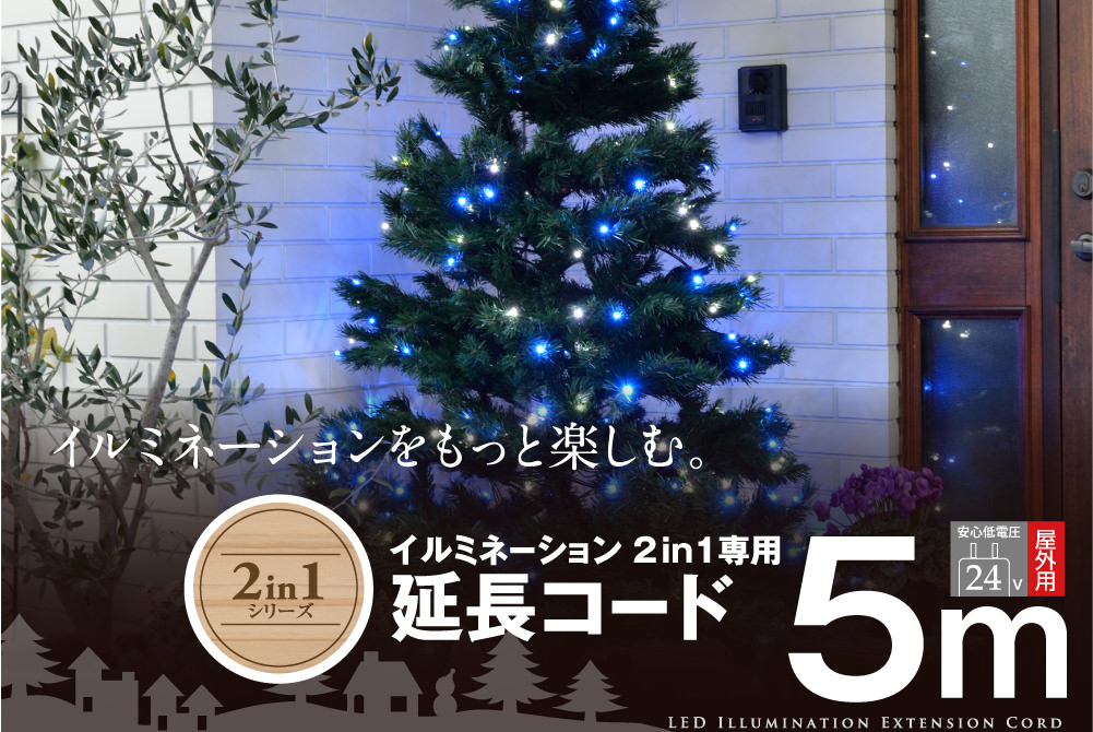 2in1専用 延長コード 5m LIT-02C 4975149605644
