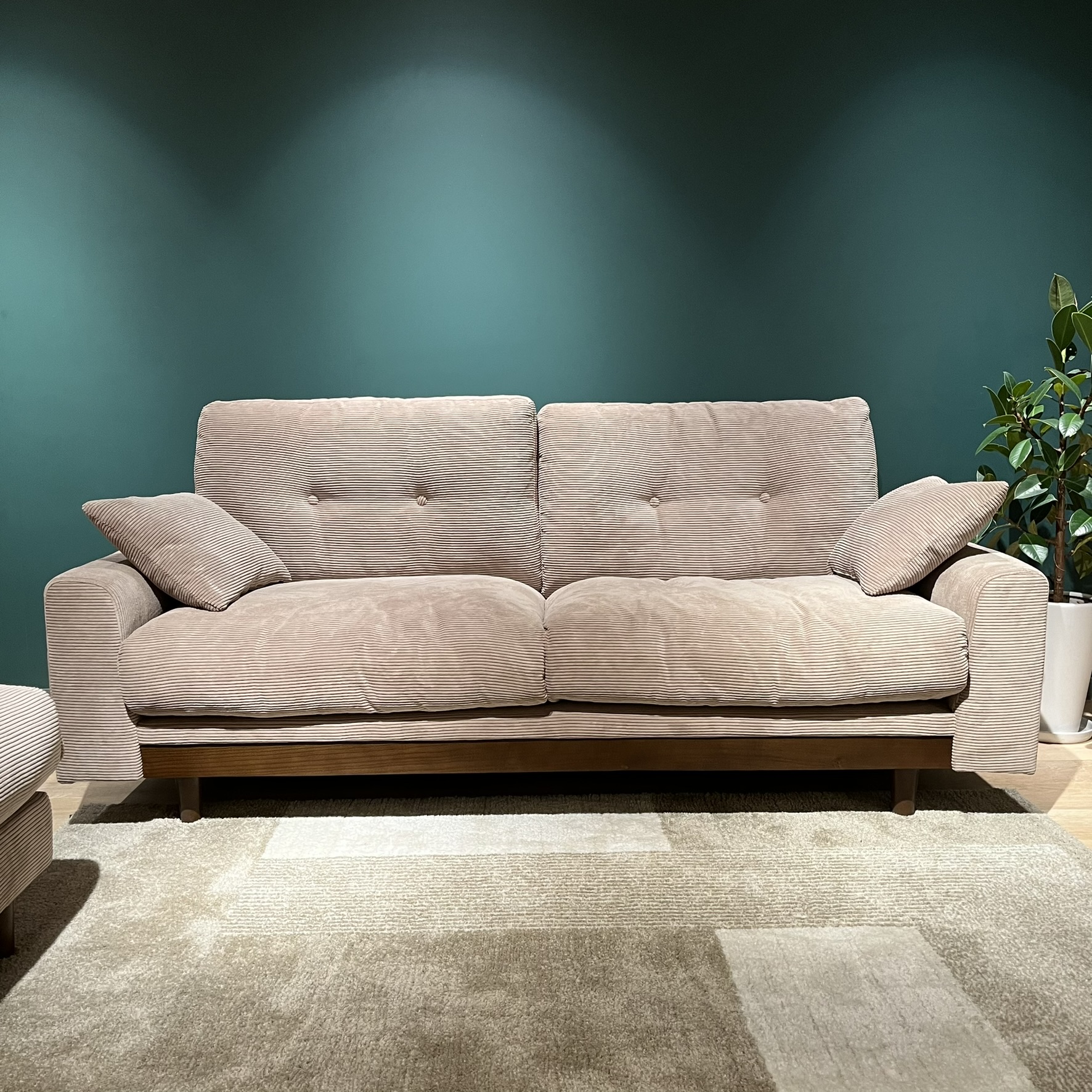 hoom / TORINO2 トリノ 2