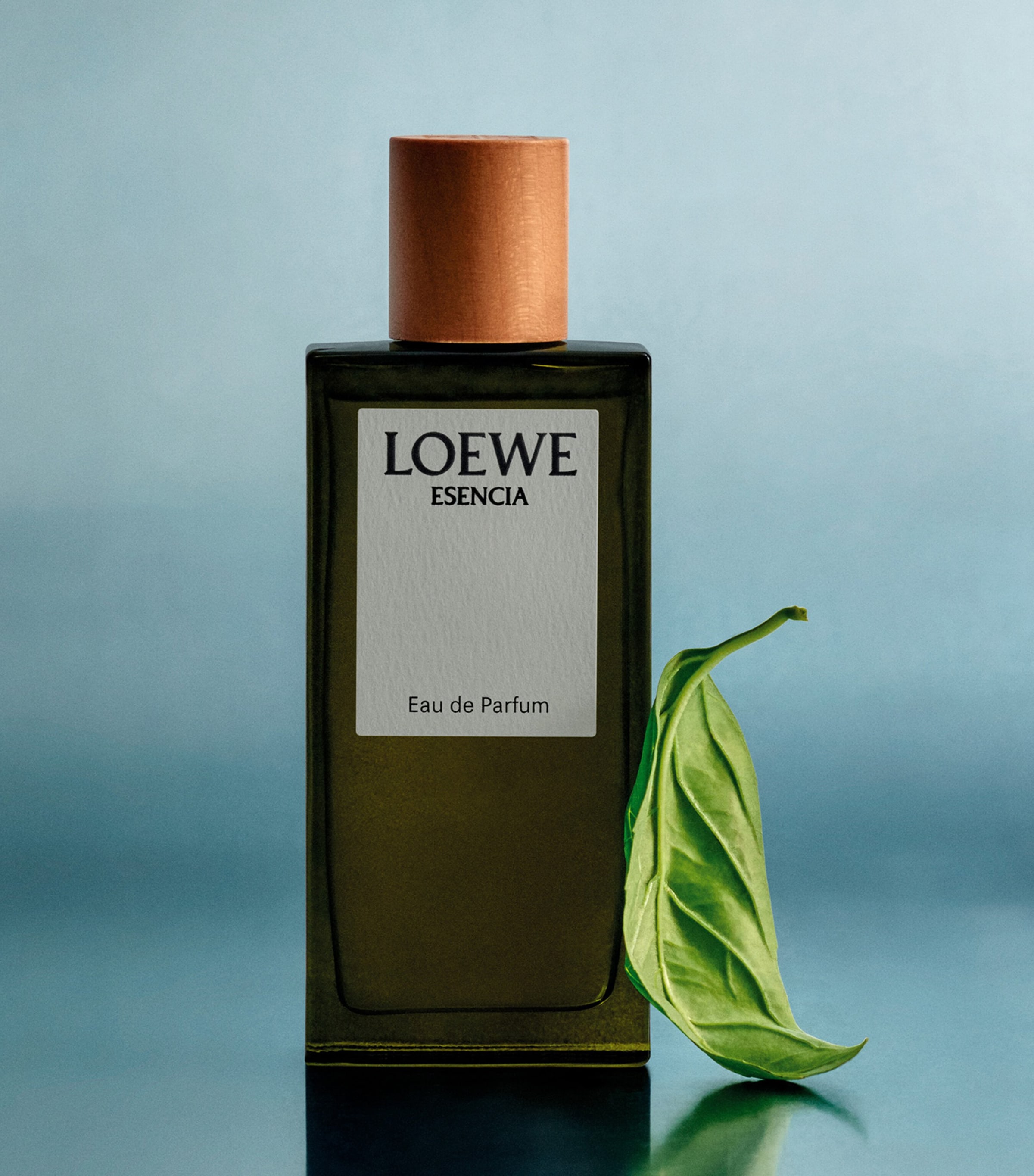 LOEWE Esencia Eau de Parfum (50ml) | Harrods US