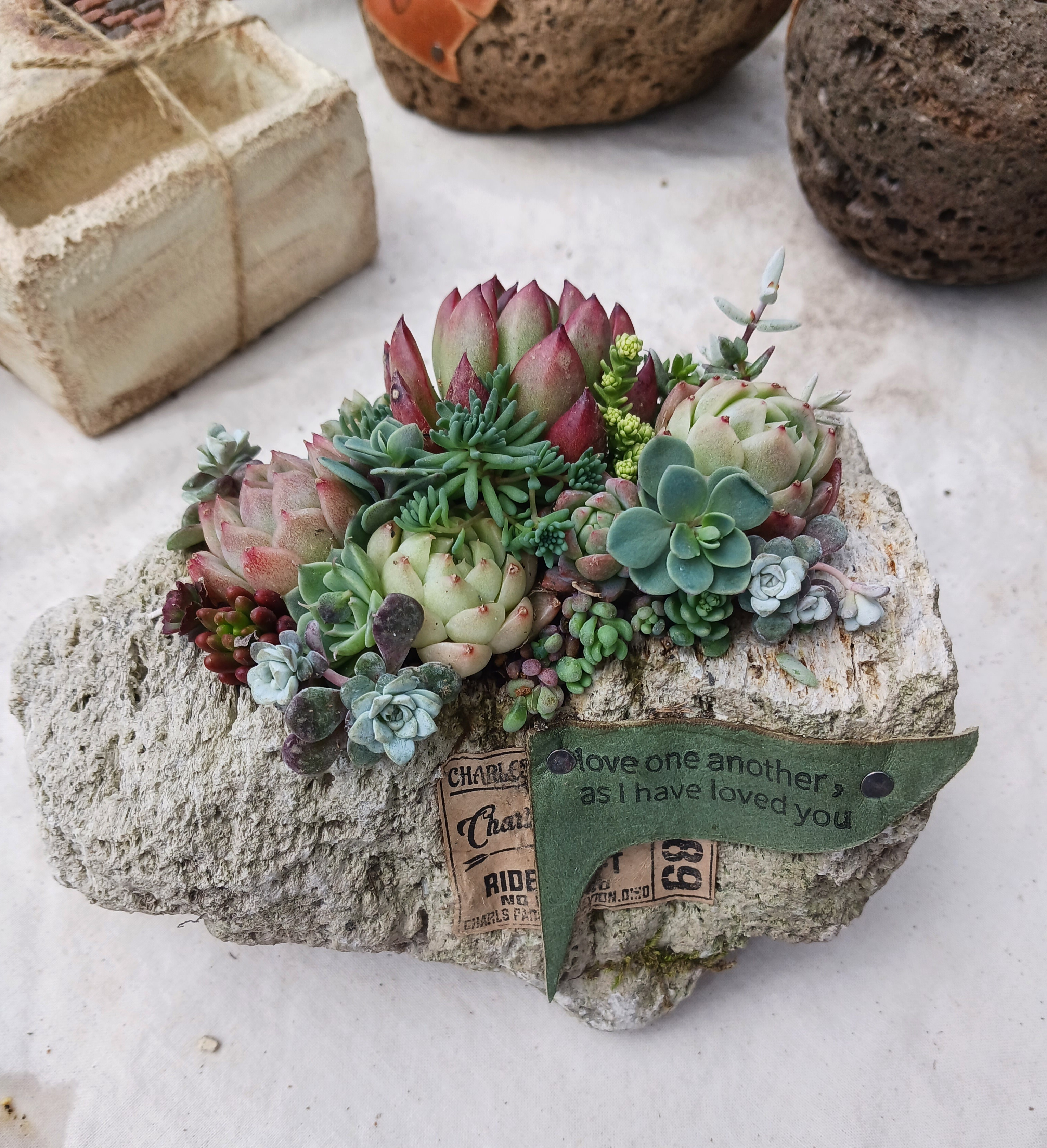 271568d3-a960-4cd2-93fb-