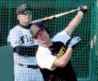 阪神 西純が秋季C初のフリー打撃 左翼ネットへ突き刺す柵越えを放つ