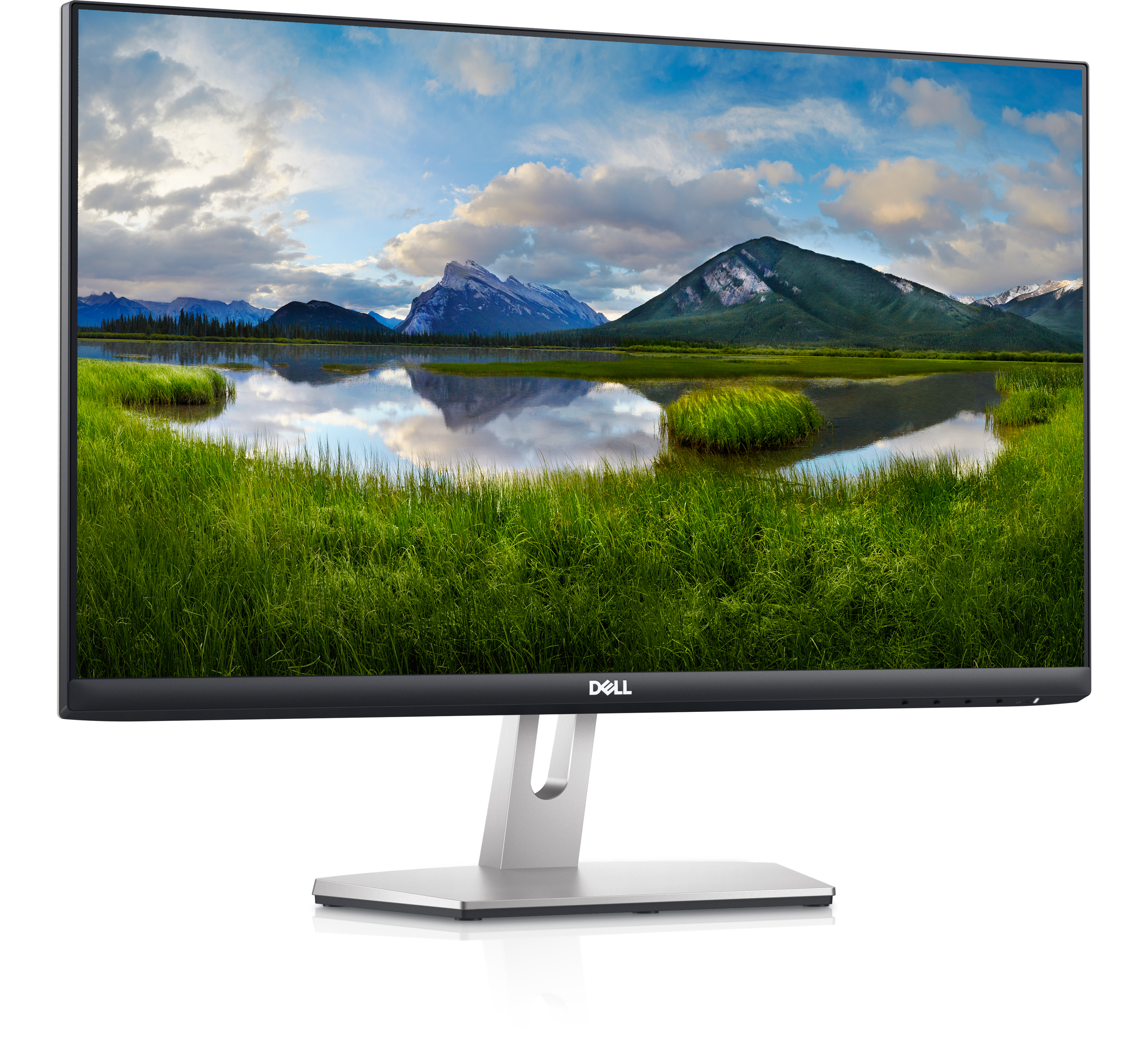 Dell 24 Inch FHD Computer Monitor - S2421HN | Dell Canada