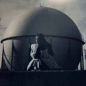 踊ってばかりの国 – Paradise Review – Vinyl (Gatefold, LP, Album