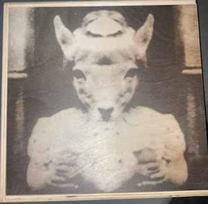 Jun Konagaya – Organ – Box Set (Limited Edition): Vinyl, Cassette