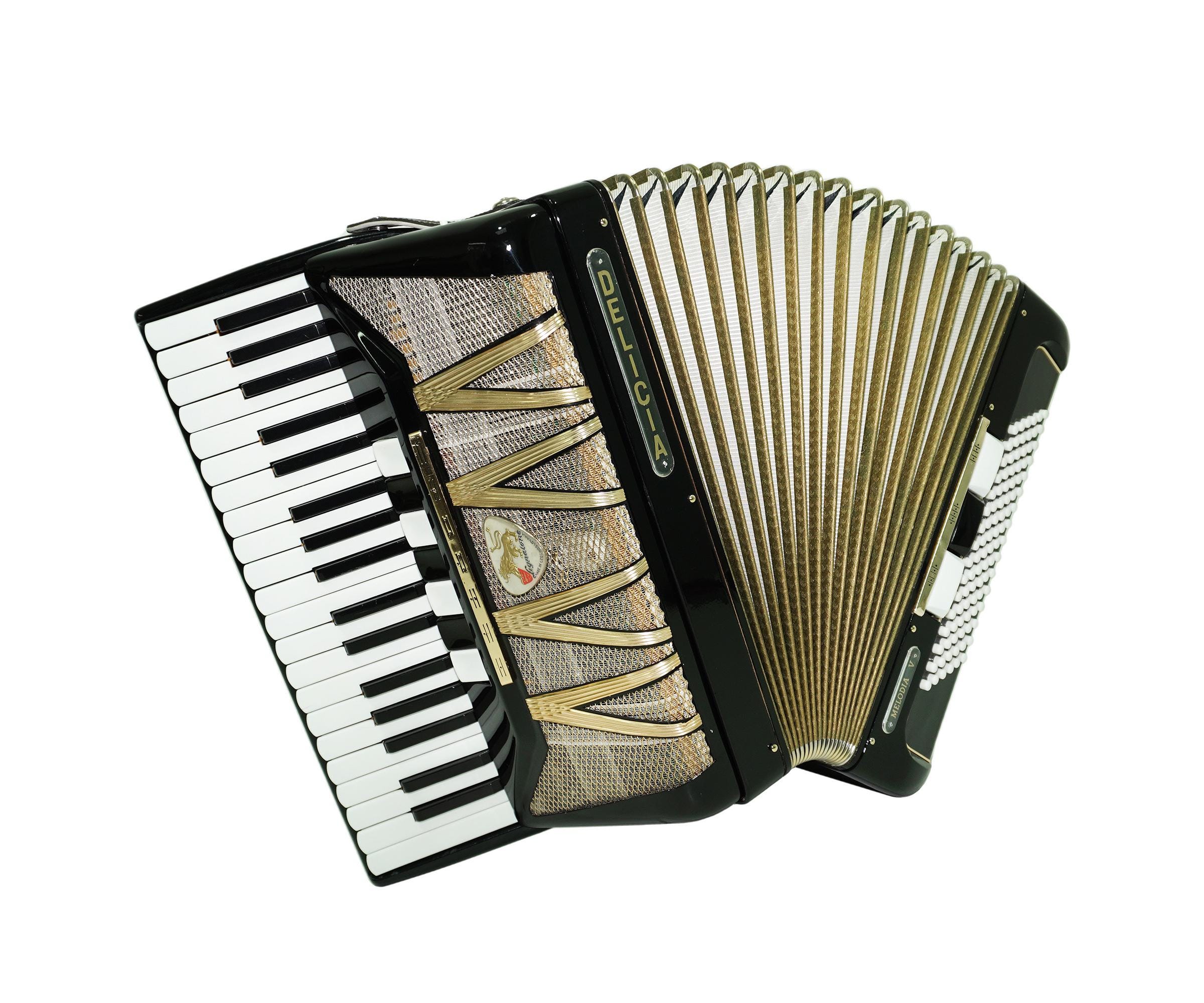 Vintage Lignatone Delicia Melodia V Piano Accordion, Made in