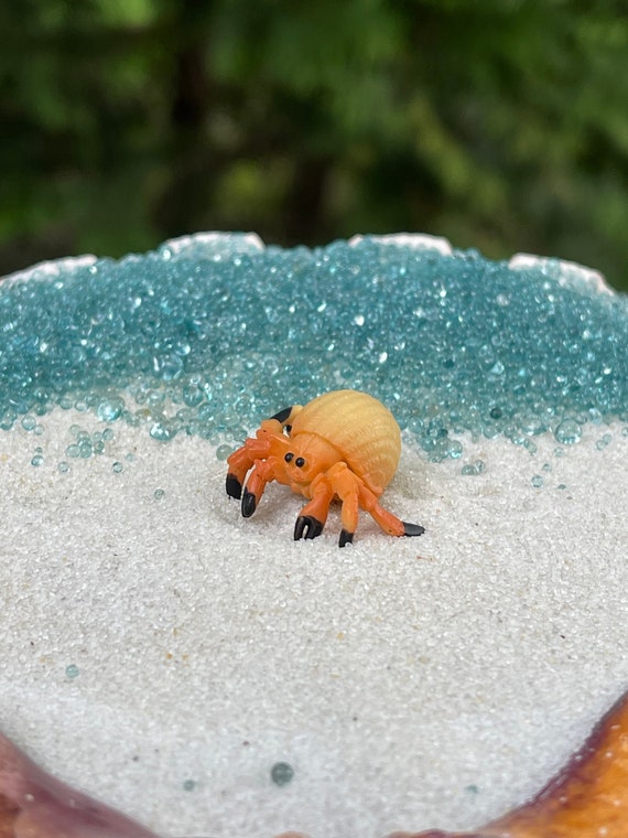 Miniature Crab, Mini Hermit Crab, Beach Garden supplies, terrarium