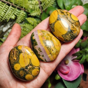 Ocean jasper vein 8 - Etsy 日本
