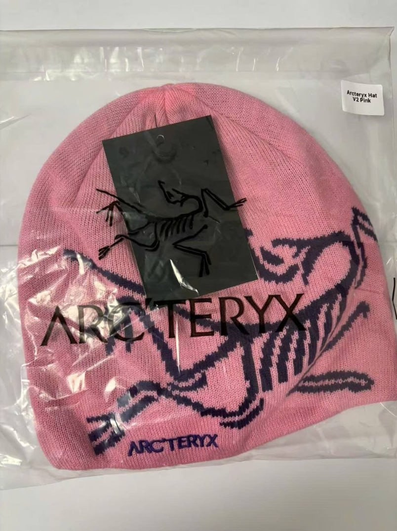New Arc'teryx Bird Head Toque Pink Merino Wool Winter Knit Beanie
