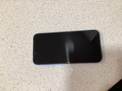 Apple iPhone 13 Pro - 256 GB - Sierra Blue (Verizon) for sale