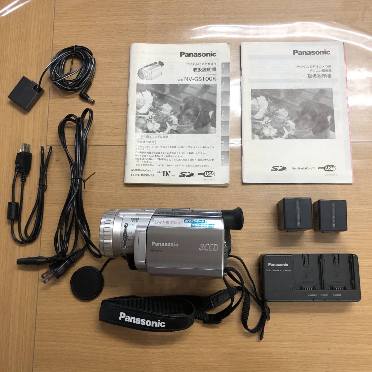 Panasonic NV-GS100 MiniDV & SD Digital Video Camera Used | eBay