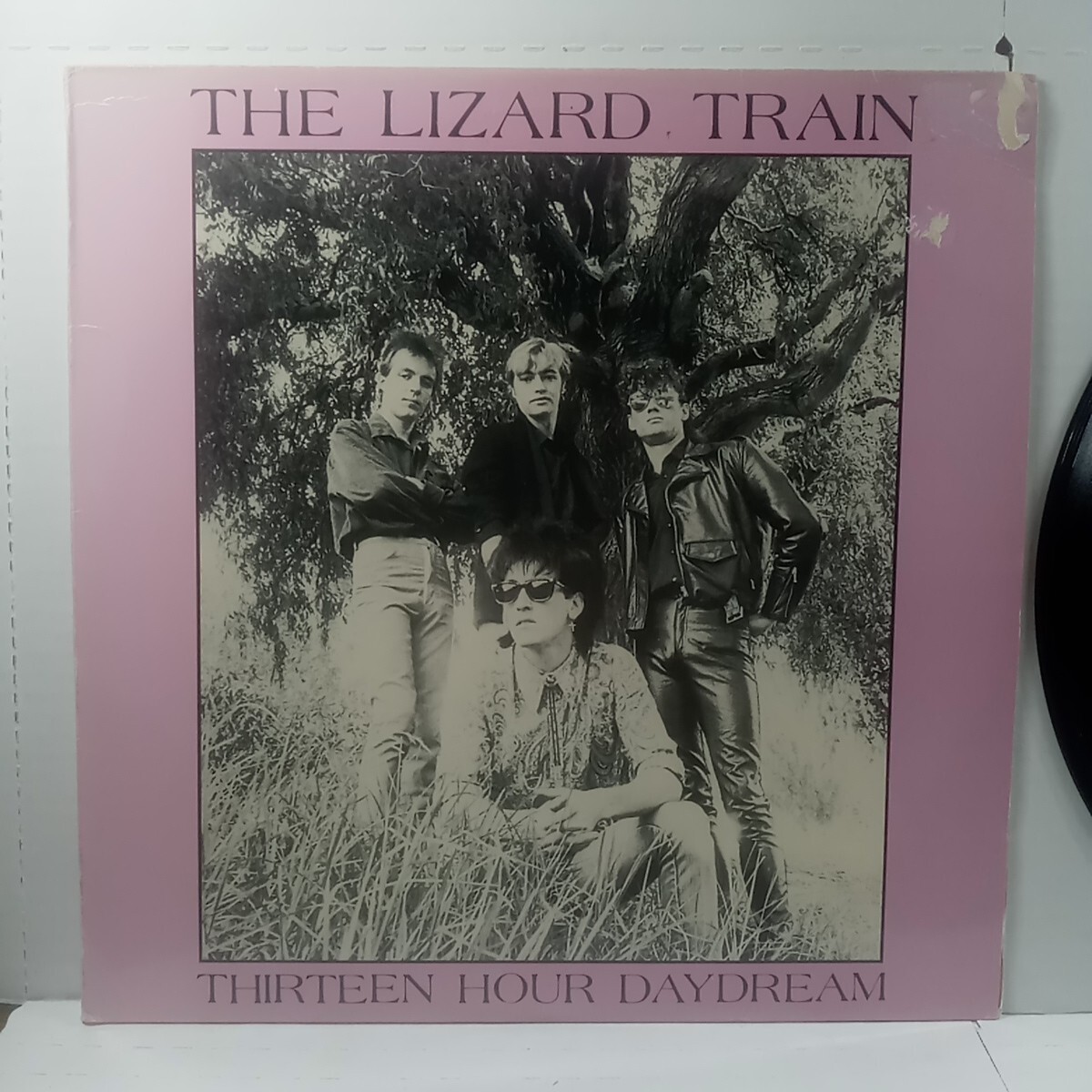 The Lizard Train – Thirteen Hour Daydream Vinyl LP89 | eBay