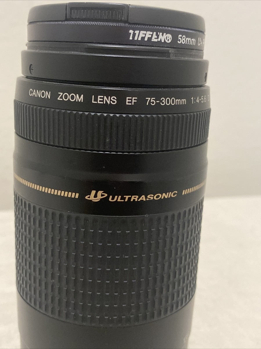Canon EF 75-300 mm 1:4-5.6 II Ultrasonic Zoom Lens | eBay