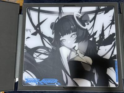 Skypad Wallhack SP-004 Limited Edition Faith Yume Mouse Pad Used