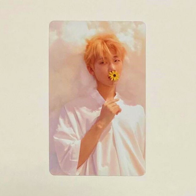 BTS Bangtan Memories of 2017 DVD Limited Official Photocard Photo