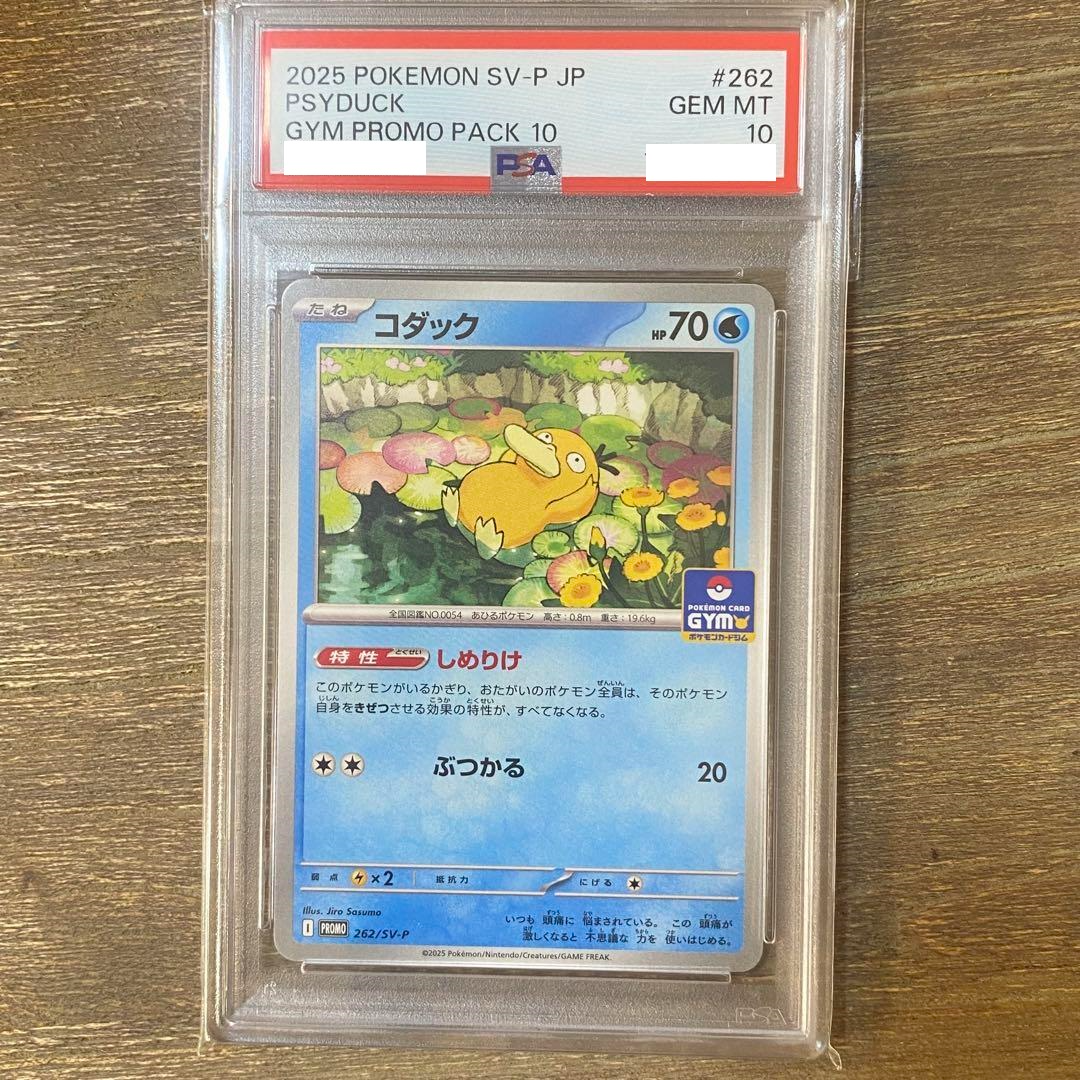 PSA 10 Psyduck Promo 262/SV-P Gym Promo 2025 Pokemon Card from JPN