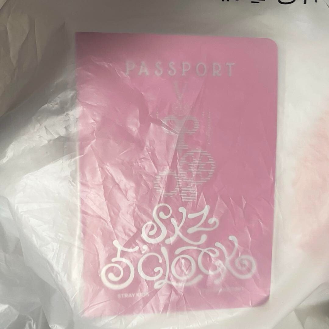 Stray Kids SKZOO Leebit Official Plush Teddy Bear Ver. 5'clock