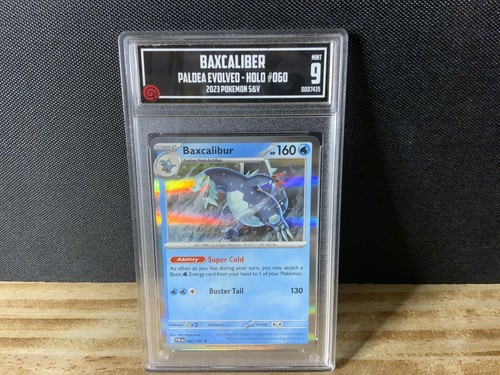 $_12.JPG?set_id=880000500F