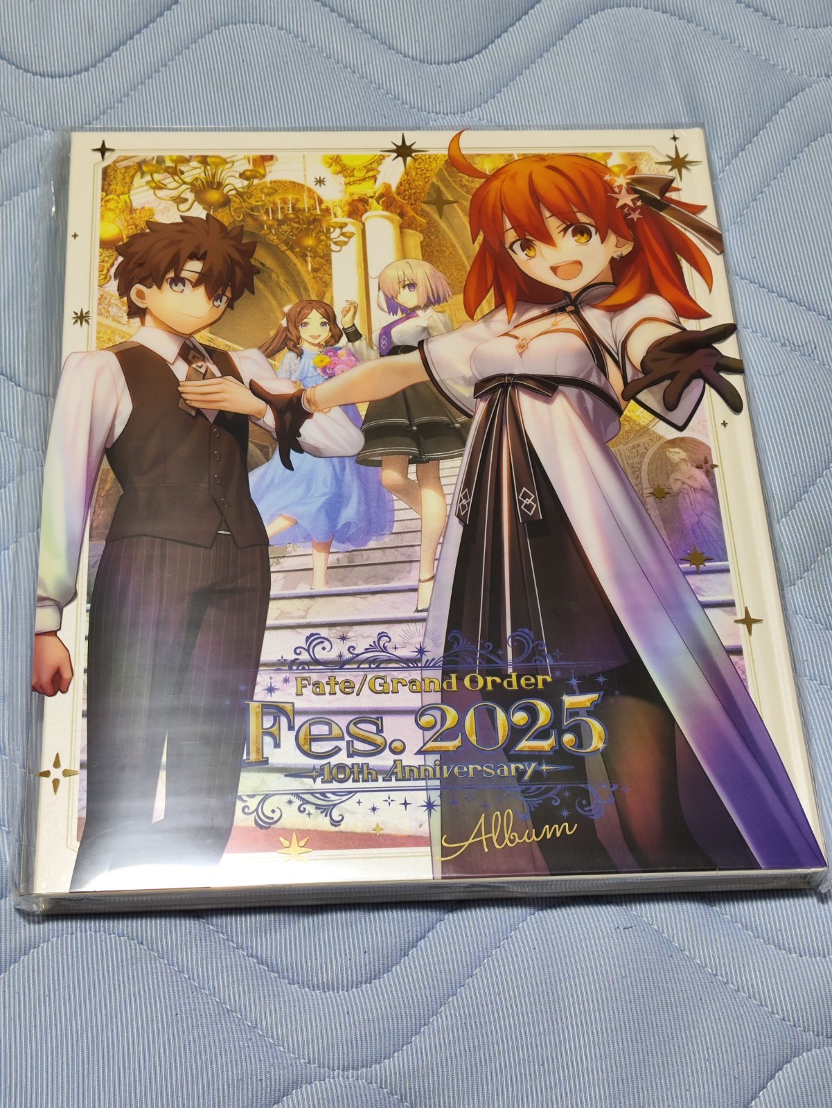 Error Edition】Fate/Grand Order 10th Anniversary Album Visual Art