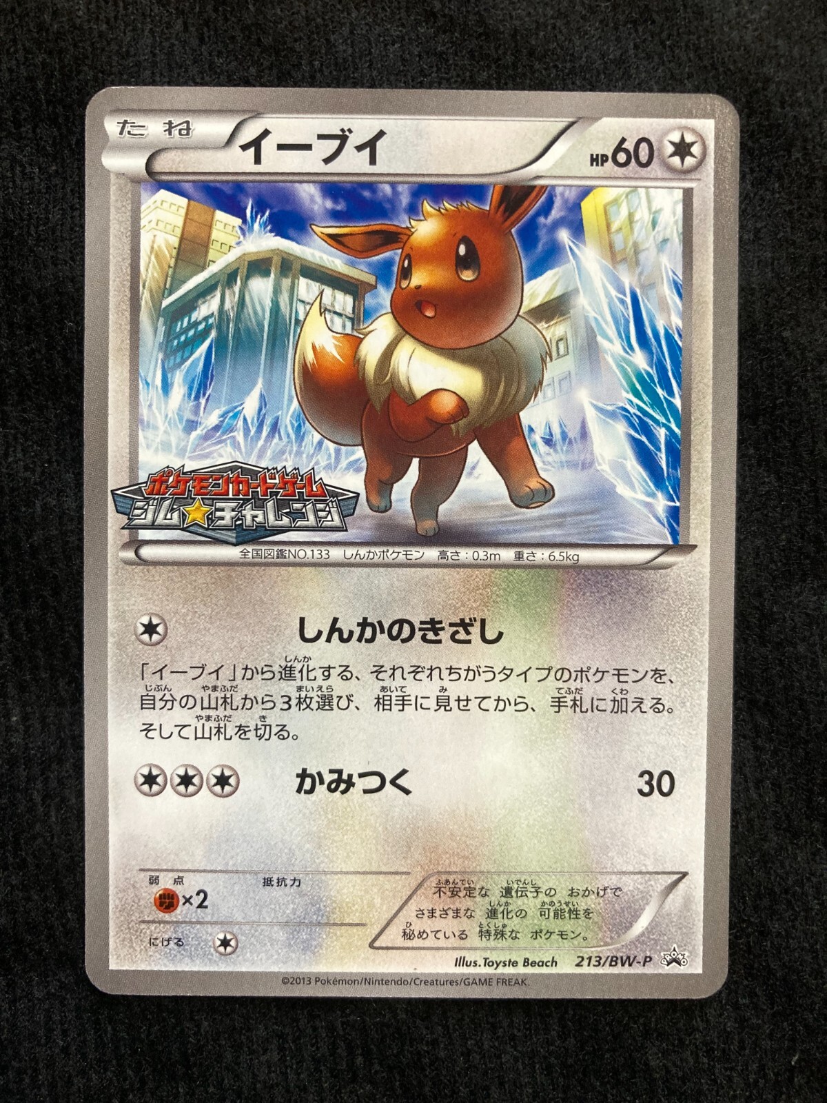 Pokemon Card TCG Eevee 213/BW-P Gym Challenge Promo Japanese