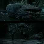 ハリー・ポッターと秘密の部屋に出てくるバジリスクの死骸は、6作後の