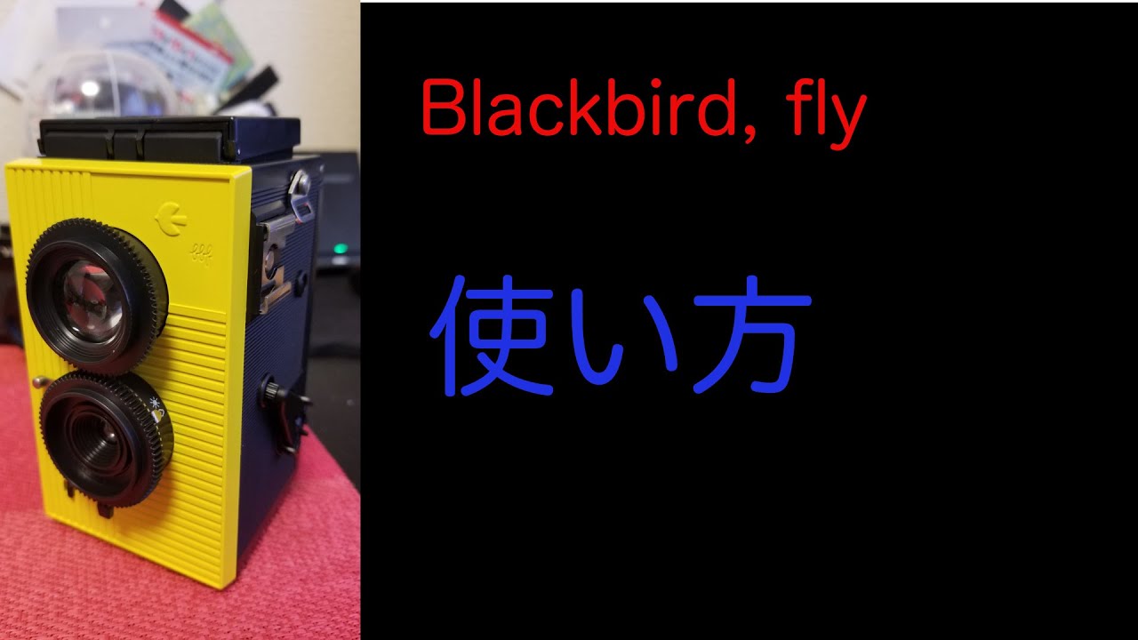 Blackbird, flyの使い方 - YouTube