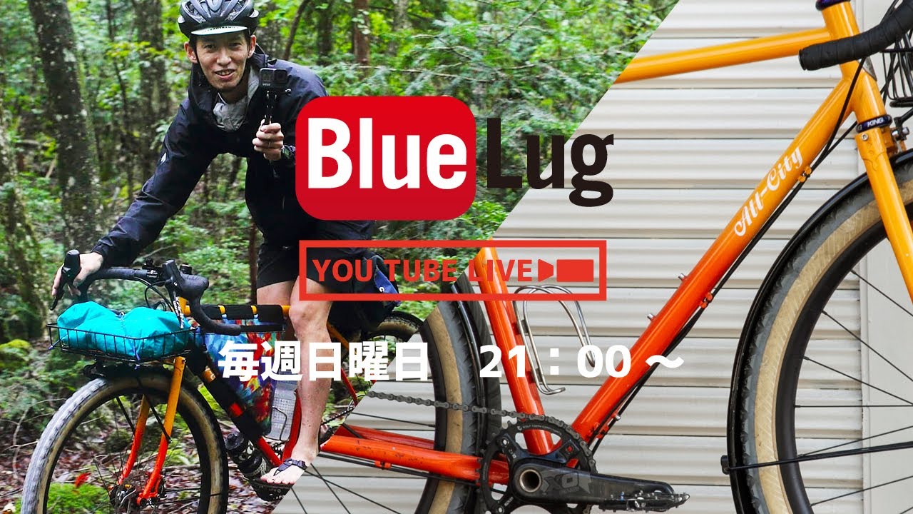 ALL-CITY* gorilla monsoon frame set (black/purple) - BLUE LUG