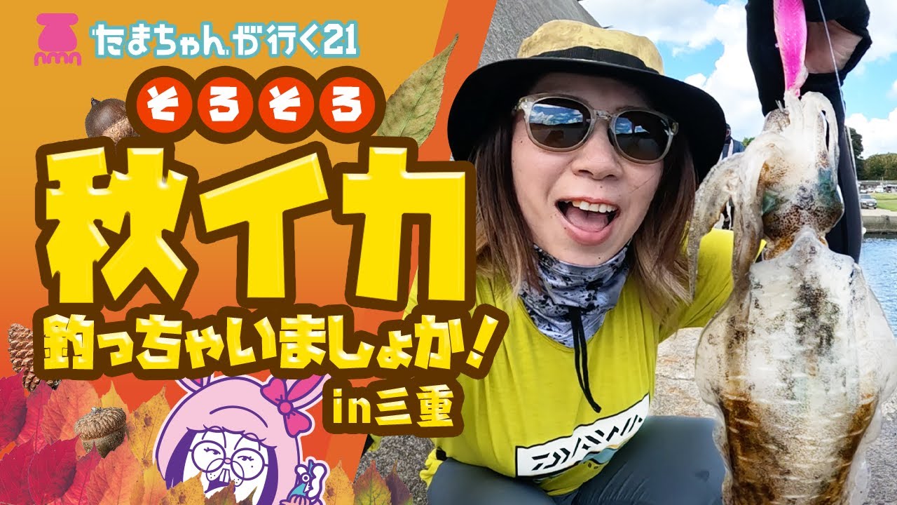 エギング】たまちゃんが行く21 秋イカの気配！エギングin三重 - YouTube