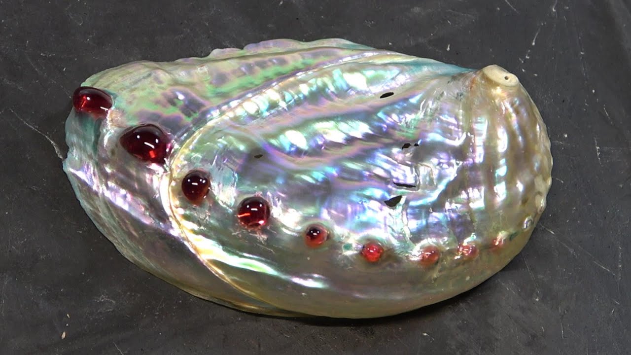 アワビ磨いてカッコ良くしてみた - YouTube