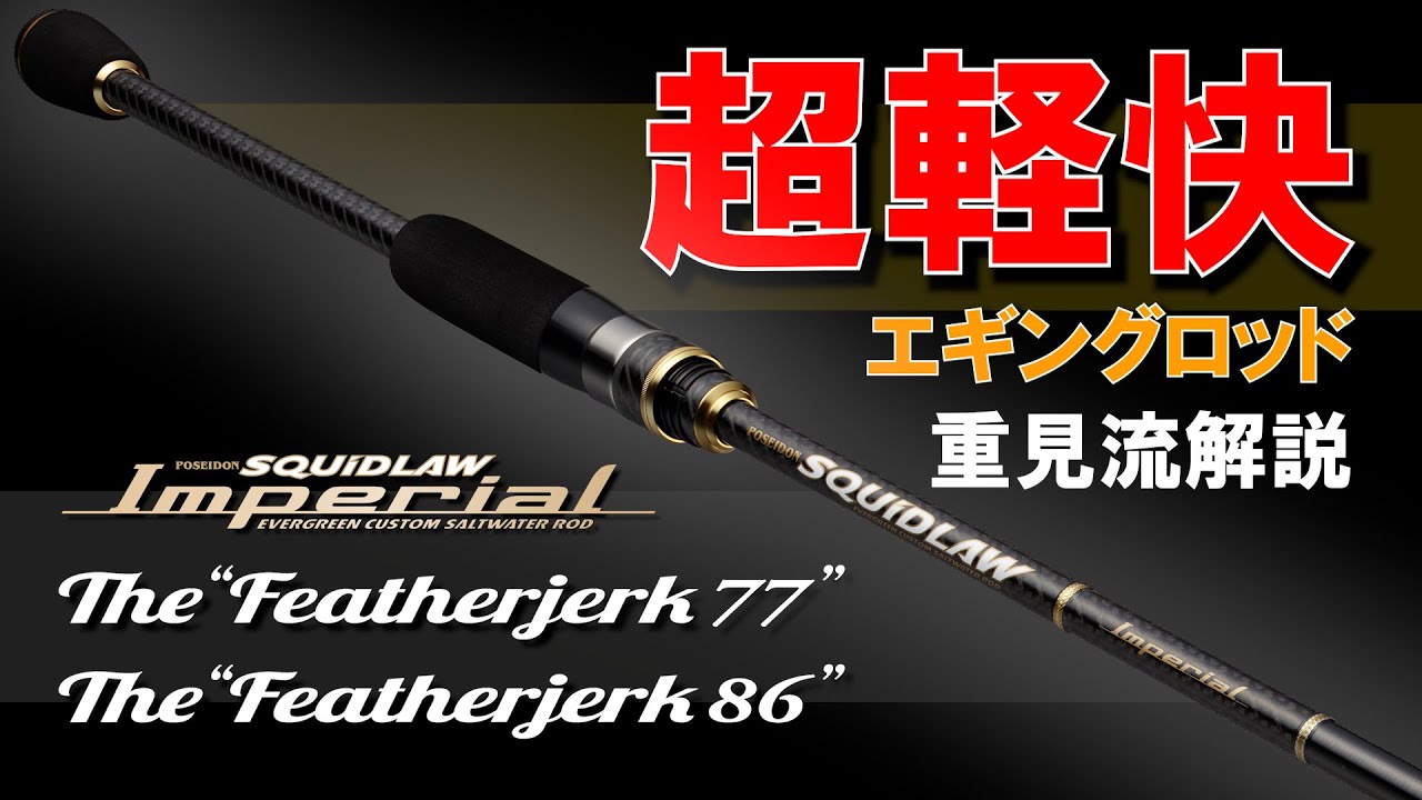 EVERGREEN（エバーグリーン インターナショナル） - NIMS-86SL