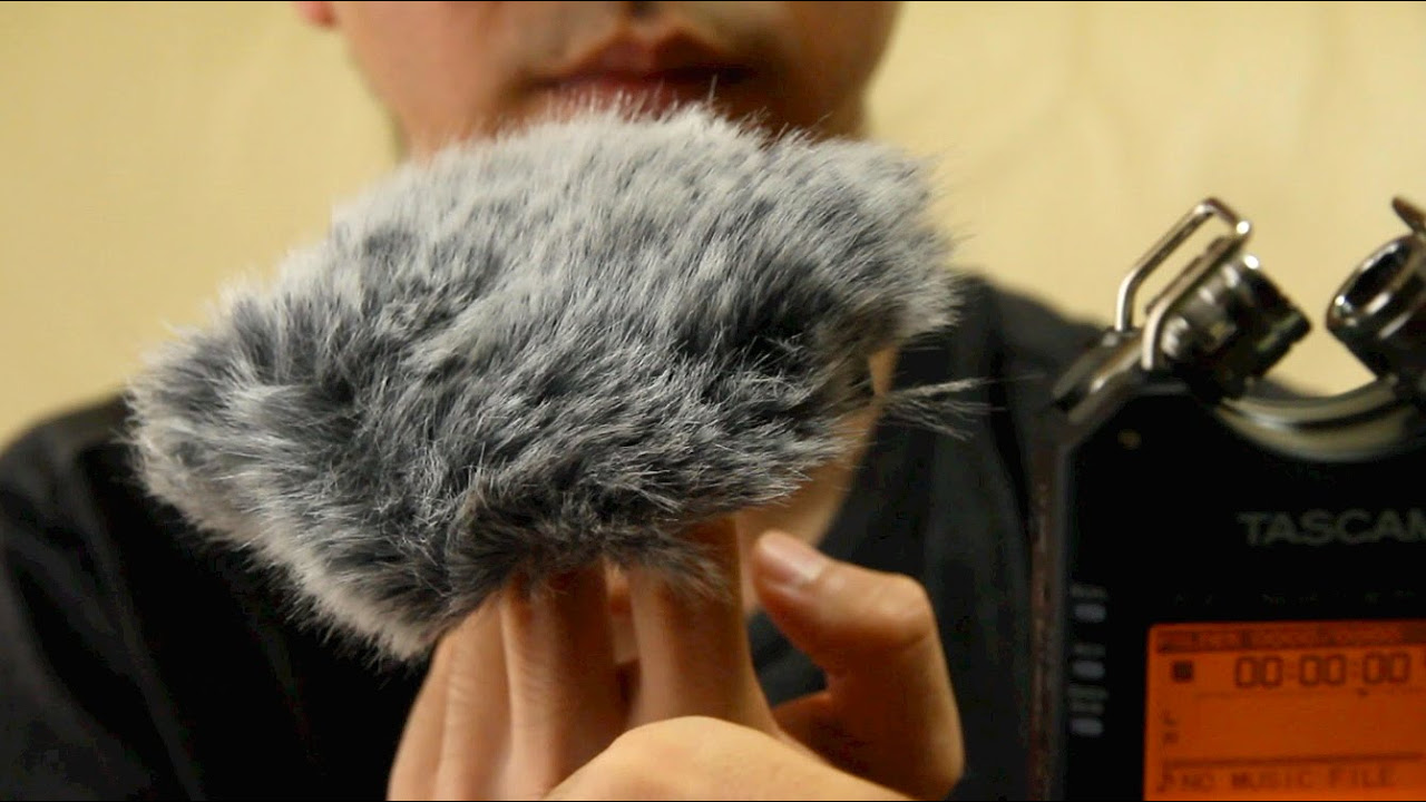 ウィンドスクリーン】風防 WS-11 などアクセサリー / TASCAM DR-40