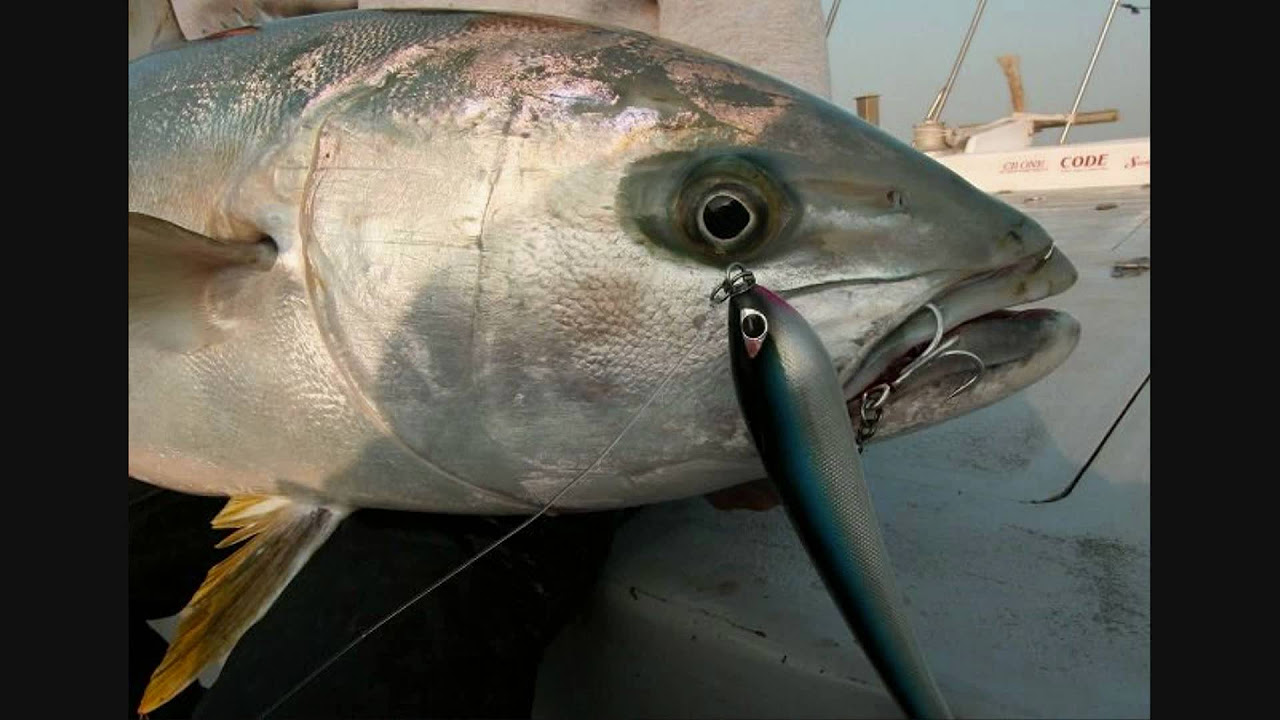 スリム系ペンシル:ZORRO 200/60(CB ONE)は超イージー!! - YouTube