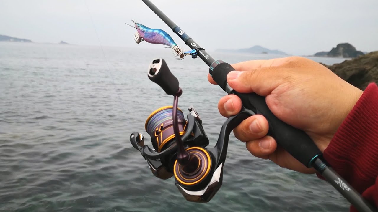 First time using it and caught a fish! I'll try using the 21