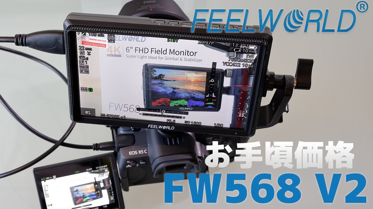 Feelworld FW568 V2 5.5-inch Camera Field Monitor with 4K HDMI