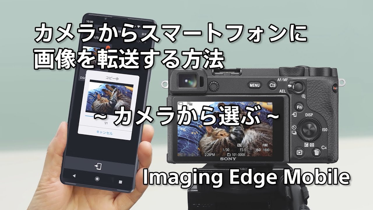 カメラからスマートフォンに画像を転送する方法 ～カメラから選ぶ