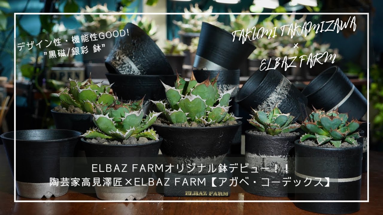 ELBAZ FARMオリジナル鉢デビュー！！陶芸家高見澤匠×ELBAZ FARM