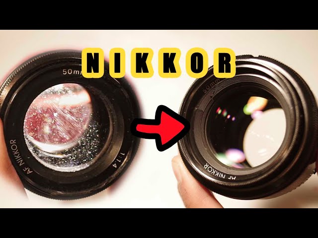 カビジャンクnikkorレンズを分解清掃するぞい【作例あり】AF NIKKOR