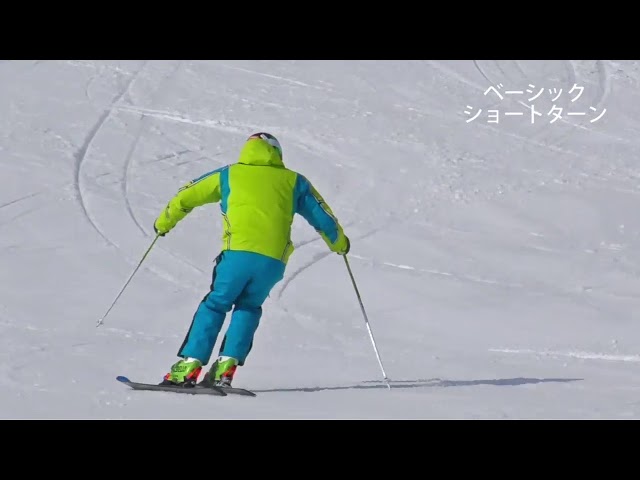 Reilly VOLKL RACETIGER SX Demo - YouTube